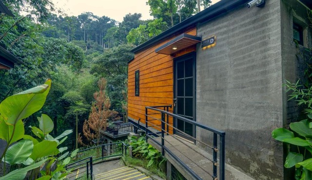 Mariposa Cabin