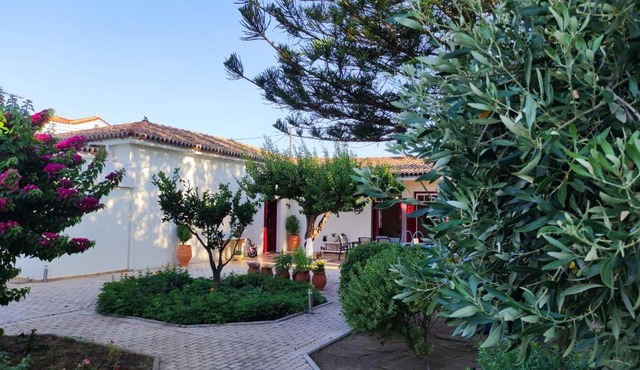 Mediterranean house with beautiful garden