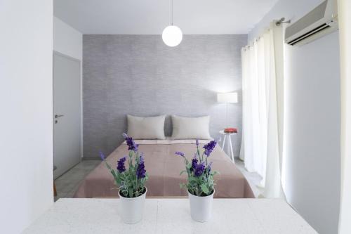 Modern Apartments Edipsos