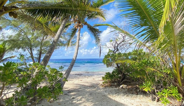MOOREA CHILL AND BEACH LODGE