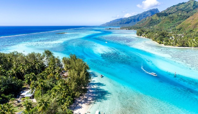 Moorea, Deluxe Beach Villa Cook, Robinson's Cove