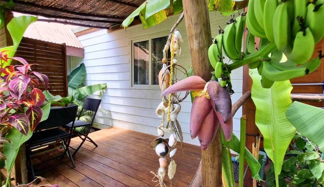 MOOREA - Studio Natura Cosy