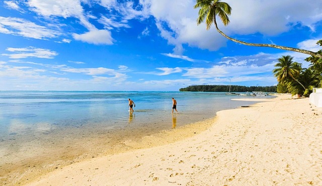 MOOREA - Tropical Moana Cottage