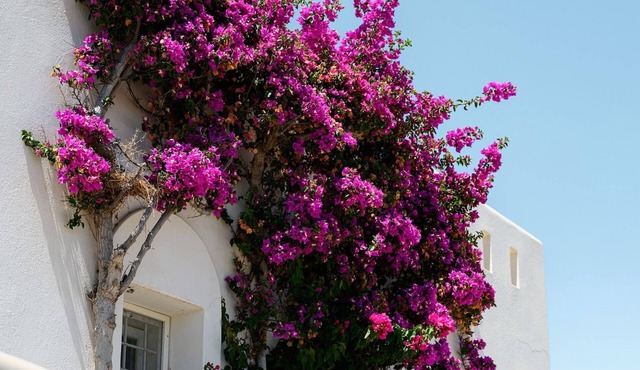 Naxos Kastraki Homey Villa with Sea View