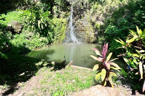 Oasis nature et cascade privée