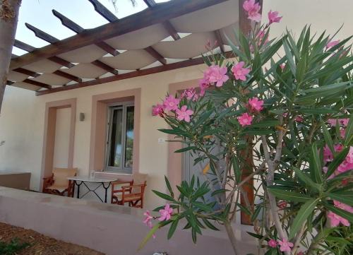 Oinoni's Home - ACHILLES studio