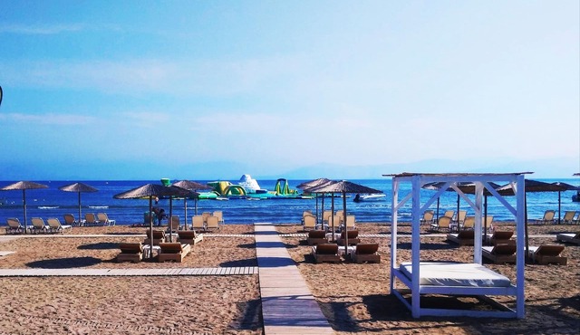Olive Grove Beachfront