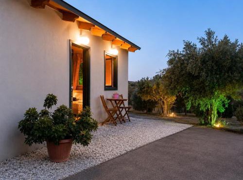 Olive Grove