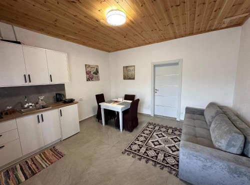 Olive Oasis Studio