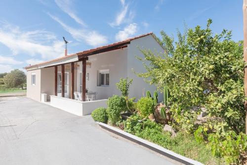 Pastida Olive Home