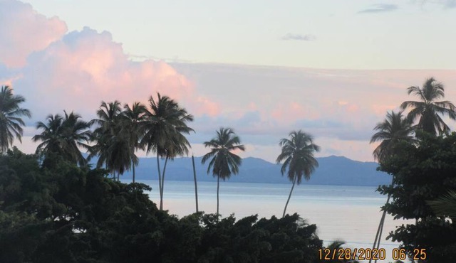 Pelicano Tropical Paraiso Samana
