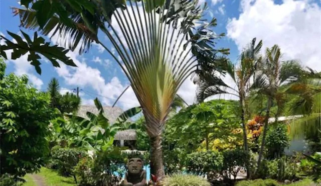 Pension de la Plage
