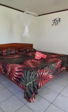Penu Maurua 1