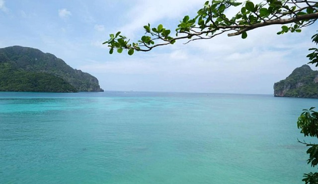 Phi Phi Oceanview Hill Bungalows