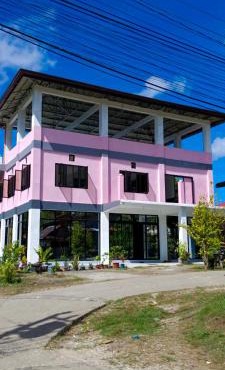 Pink house