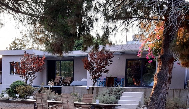 Private Beachfront Studio - 4-Acre Eco-Estate near Corinth Canal