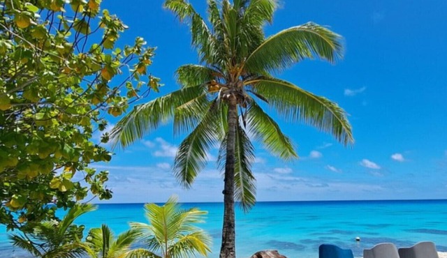 RANGIROA - Hope Bungalow