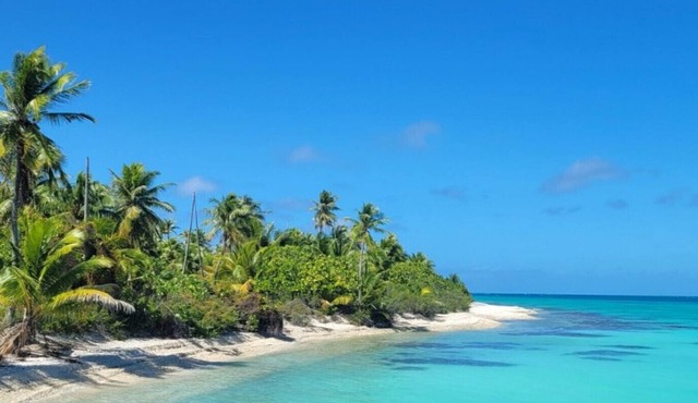 RANGIROA - Ranitea Bungalow