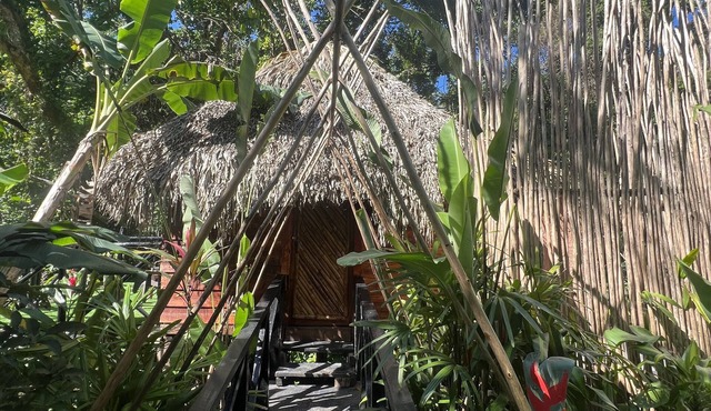 Sámana tropical