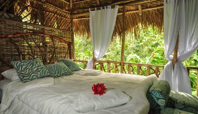 Samana Tropical with DodoMap