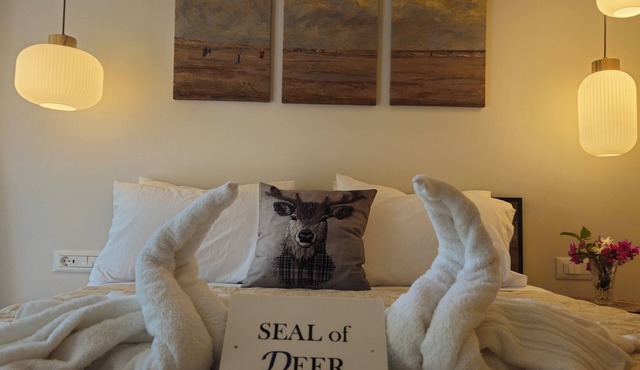 SEAL of Deer - Castle View - 5 minute walk to the Beach