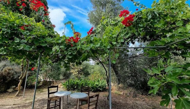 Secret Garden Hideaway in Kefalonia