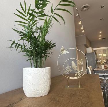 Sp+P apartment