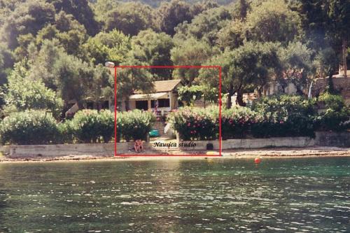 Studio Nausica. a sense of paradise!