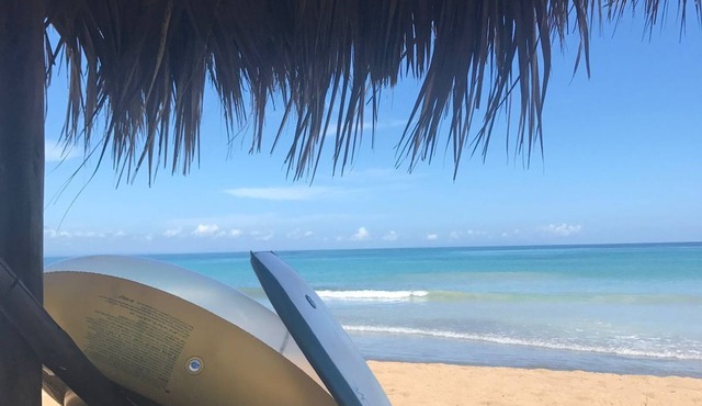 Sublime Samana : Paradise is sublime. A perfect getaway!