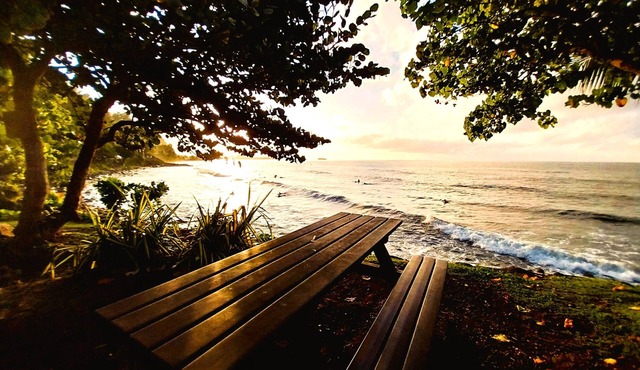 TAHITI - Haumaru Beach Fare