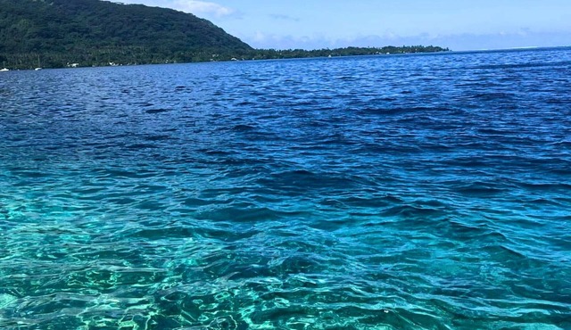 TAHITI ITI - Bungalow Ohana