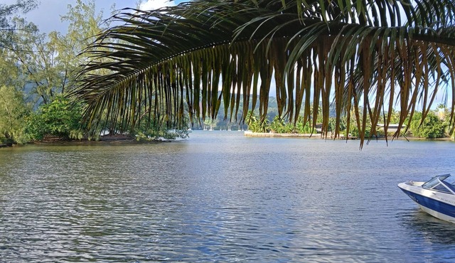 TAHITI ITI - Fare Pihiti Spot