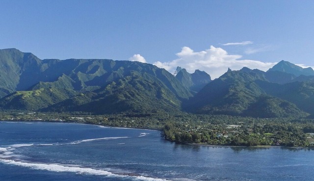 TAHITI - Studio ManoMano Popoti