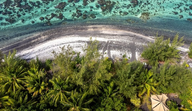 TAHITI -Studio ManoMano Taharu'u