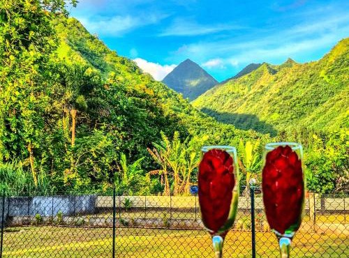 Teahupo'o Lodge Tahiti - Studio Tropical vue lagon et montagnes