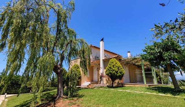 Terpsi Studio 3 - Kyparissia Garden Retreat