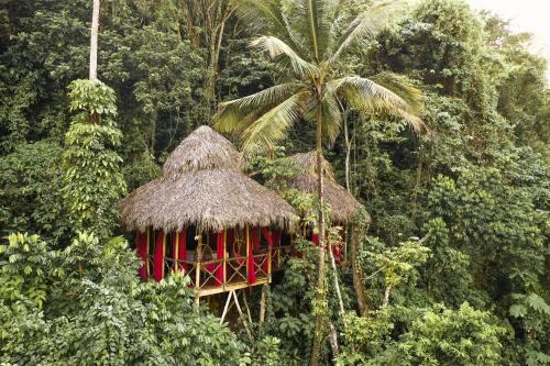 Tree House Village - Waterfall