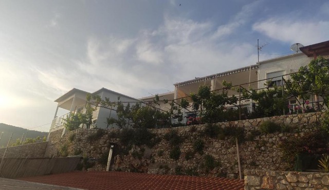 Vila Andoni