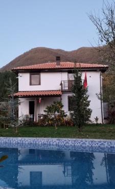 Vila elektra