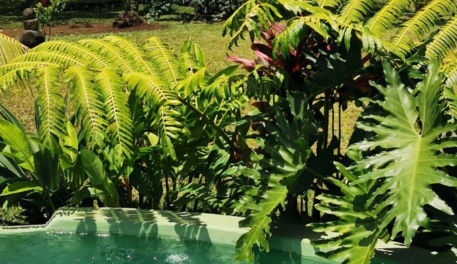 VILLA KOKU'U with private pool on the Taravao Plateau