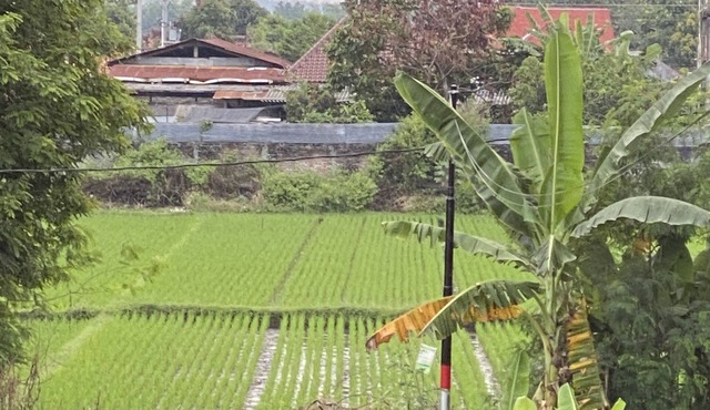 VILLA MIKE
