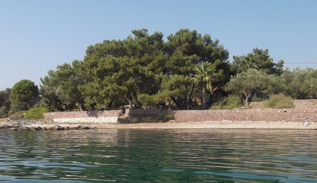 Villa surrounded by 8000 m2 olive groove, under pine trees, on waterfront