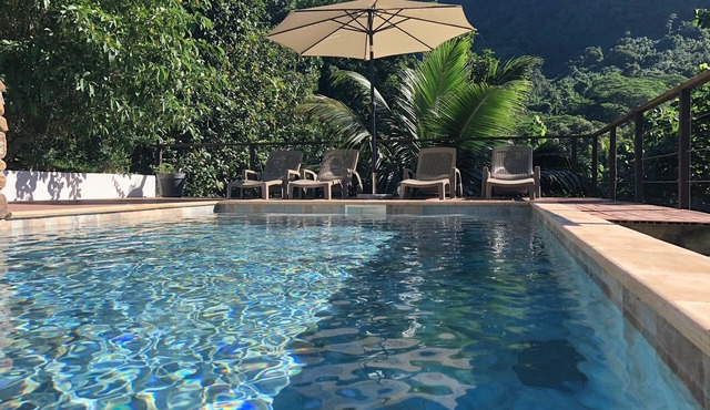 Villa Te Fetia Nui Moorea - Pool and sea view