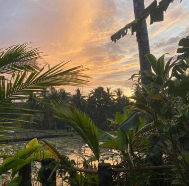 Villa Yan Tara 2BR Private House Ubud Rice View Garden