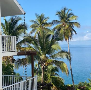 Vista Mare Samana The Best View!