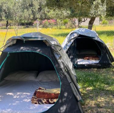 Waveside Camping