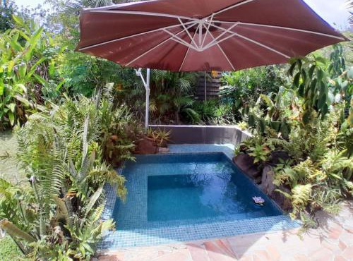Whole family home with plunge pool