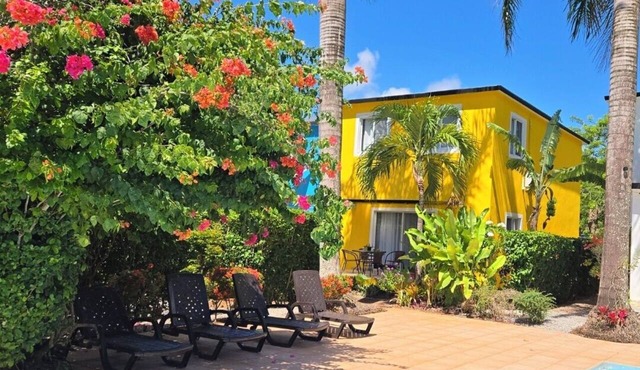 Yellow House Río San Juan, Oasis Tropical Pool