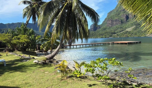 🌊 Your relaxing break in Moorea 🌴