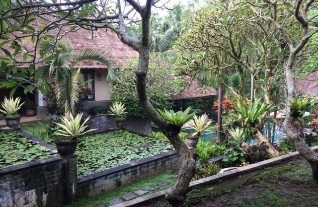 Style Sukawati Gianyar Garden The Property 